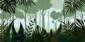 Vector Tropical Rainforest Jungle Landscape Background With Leaves, Fern, , Illustrations