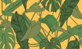 Vector tropical seamless pattern. Exotic green plants on yellow background. Banana and monstera leaves. Abstract floral seamless p Royalty Free Stock Photo