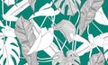 Vector tropical seamless pattern. Exotic plants on green background. Hand drawn textile print. Royalty Free Stock Photo