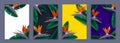 Vector tropical  set with leaves and parrot flower Royalty Free Stock Photo