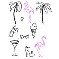 Vector tropical set of linear pink flamingo, palm and recreation elements. Hand painted birds and jungle leaves. Floral