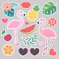 Vector tropical stickers