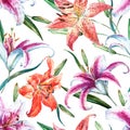 Vector tropical watercolor lilly pattern Royalty Free Stock Photo