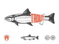 Vector trout label