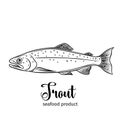 Vector trout.