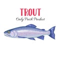 Vector trout