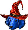vector ttle dog cartoon in a witch hat