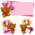 Vector Tulip Bouquets with Bears