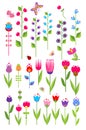 Vector tulips and bluebell. Set