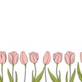 Vector tulips seamless banner for Mathers Day. Flower isolated elements. For design, card, print or background