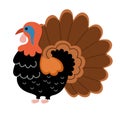 Vector turkey icon. Cute cartoon gobbler illustration for kids. Farm bird isolated on white background. Colorful flat animal