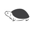 Vector of turtle Black design on a white background. Reptile. Animals. Sea creatures. illustration Royalty Free Stock Photo
