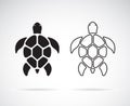 Vector of turtle design on a white background. Reptile. Animals.