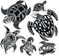 Vector of turtle design on a white background. Reptile. Animals./Vector illustration