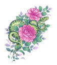 Vector Twisted Snake and Pink Rose Flowers
