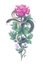 Vector Twisted Snake and Pink Rose on High Stem Royalty Free Stock Photo