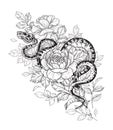 Vector Twisted Snake and Rose Flowers Royalty Free Stock Photo