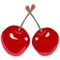 Vector Two cherry icon, illustration of two sweet cherries with leaf isolated of white background, summer red berry Royalty Free Stock Photo