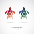 Vector of two colorful turtles on white background. Wild Animals. Underwater animal. Turtle icon or logo. Easy editable layered