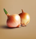 Vector two onions isolation on beige background