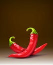 Vector two red hot chilli peppers isolated on a brown background Royalty Free Stock Photo