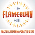 Vector type font created using burning fire Royalty Free Stock Photo