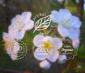 Vector typography eco labels set on spring flower blurry background for card, banner or web design.