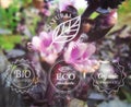 Vector typography eco labels set on spring flower blurry background for card, banner or web design.