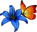 vector uillustration of butterfly on flower. digital hand draw on white background Royalty Free Stock Photo