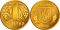 Vector Ukrainian money gold coin hryvnia