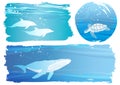 Vector Undersea Creatures Illustration Set With Dolphins, A Turtles, and A Whale Isolated On A White Background.