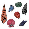 Vector underwater sea cartoon. Various seashells. Great for web page background, wrapping paper, cards,notebook and invitation