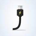 Vector usb type-c and usb-c charge flat. charger illustration cable