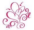 Vector Valentines day of flourish calligraphy vintage hearts. Hand drawn sketchy calligraphy valentine love and wedding