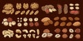 Vector various nuts colorful icons Royalty Free Stock Photo