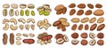 Vector various nuts colorful icons Royalty Free Stock Photo