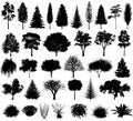 Vector various trees and shrubs silhouette. EPS 10
