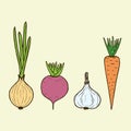 Vector vegan vegetables - onion, carrot, beet, garlic. Vect
