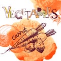 Vector vegetable background