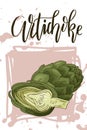 Vector vegetable element of artichoke. Hand drawn icon with lettering. Food illustration for cafe, market, menu design