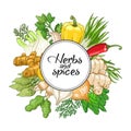 Vector vegetable round design with spices