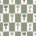 Vector Vegetables Carrots Beets Turnips on Green White Rectangles Seamless Repeat Pattern. Background for textiles