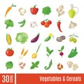 Vector vegetables and cereals infographic icons set Royalty Free Stock Photo