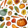 Vector vegetables food pattern on white background. Colored farm products.