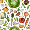 Vector vegetables food pattern on white background. Colored farm products.