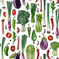 Vector vegetables food pattern on white background. Colored farm products.