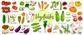 Vector vegetables icons in cartoon style. Big set. Royalty Free Stock Photo