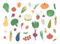 Vector vegetables icons set. Collection farm product for restaurant menu, market label