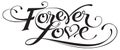 Forever love - custom calligraphy text Royalty Free Stock Photo