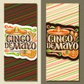 Vector vertical banners for Cinco de Mayo Royalty Free Stock Photo